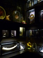 /album/musee-chasse-nature/cabinet-licorne-2-jpg/